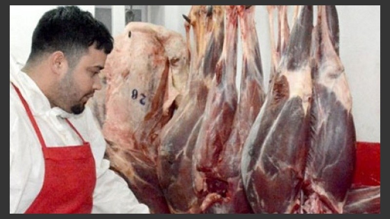 Una prueba piloto para la carne de guanaco.