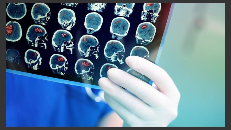 Estudiantes de distintos centros de investigación científica de Brasil, Córdoba, Buenos Aires y Santa Fe participan del evento.