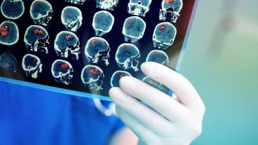 Estudiantes de distintos centros de investigación científica de Brasil, Córdoba, Buenos Aires y Santa Fe participan del evento.