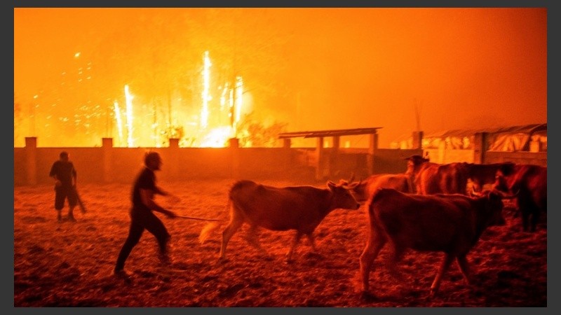 Postales de la desolación desde la península ibérica.