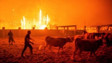 Postales de la desolación desde la península ibérica.