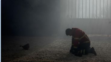 Postales de la desolación desde la península ibérica.