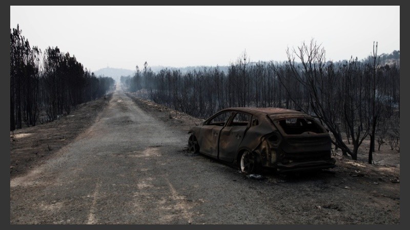 Postales de la desolación desde la península ibérica.
