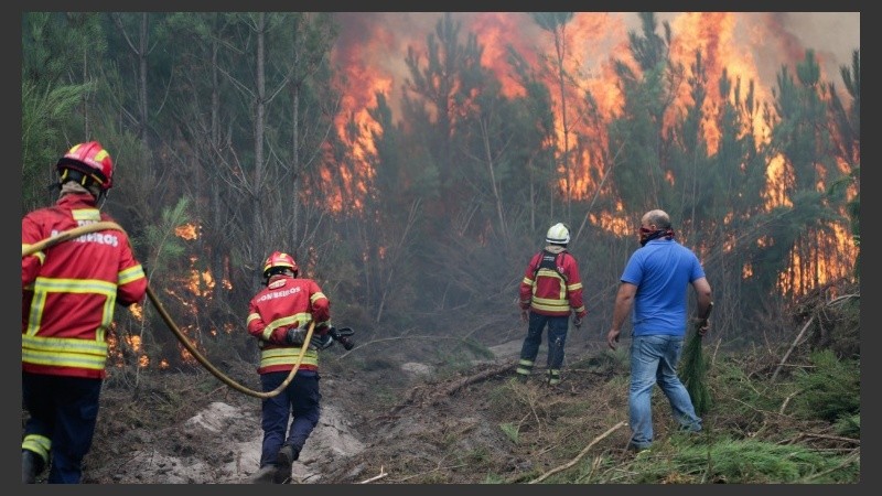 Postales de la desolación desde la península ibérica.