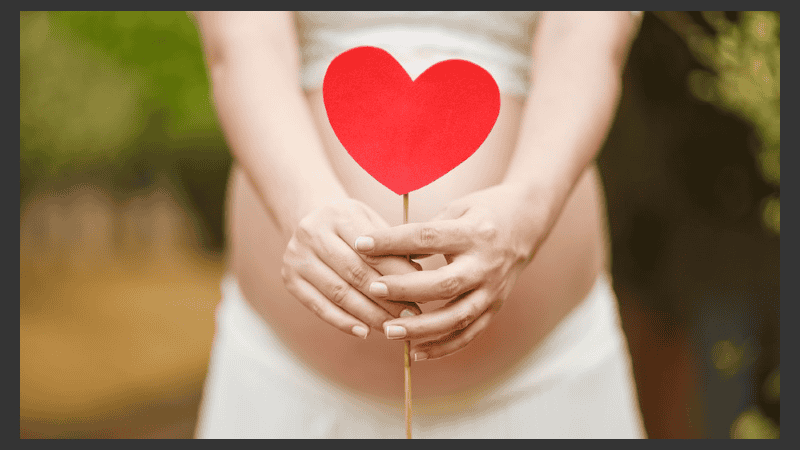 En la dieta de la mujer embarazada no deben faltar las proteínas, imprescindibles para un adecuado crecimiento del feto.