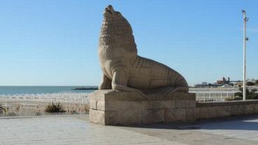 Unos mates al lado de los lobos marinos, que los misiles van a pasar lejos.