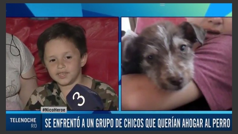 La tierna imagen de Esteban, el perrito rescatado por Nico.