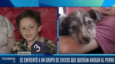 La tierna imagen de Esteban, el perrito rescatado por Nico.