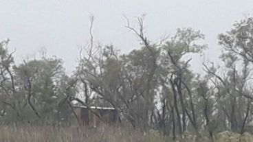 El rancho donde se produjo el crimen.