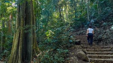 En Monte Tamborine, en Queensland, donde la crecida lombriz fue hallada.
