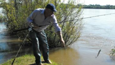 Entre la caña y un gancho, Marcelo rescató el botín del agua.