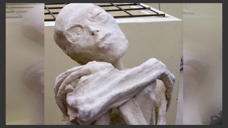 Las momias halladas en la ciudad de Nazca, Perú, concitan la atención de los investigadores. 