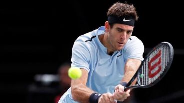 Del Potro jugará en el Luna.