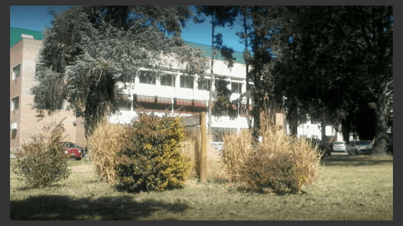 La celebración convocó a los ex decanos, los profesores fundacionales y graduados.