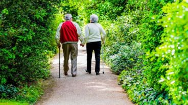 Los hallazgos son de particular importancia para los adultos mayores.