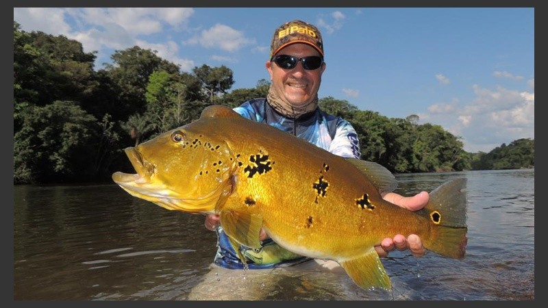 Para las exhibiciones habrá una pileta de 10 por 4 metros.