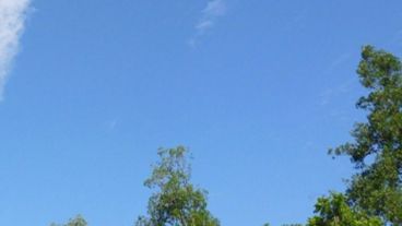 Más y más azul para este viernes.