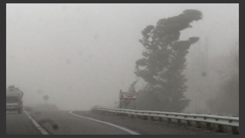 El viento causó múltiples inconvenientes en los servicios de luz, teléfono y televisión por cable, entre otros.