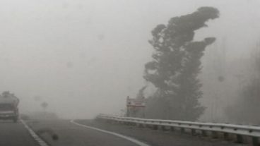 El viento causó múltiples inconvenientes en los servicios de luz, teléfono y televisión por cable, entre otros.