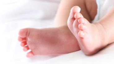 Hasta ahora, el proceso de vitrificación se ha hecho siempre de forma manual.