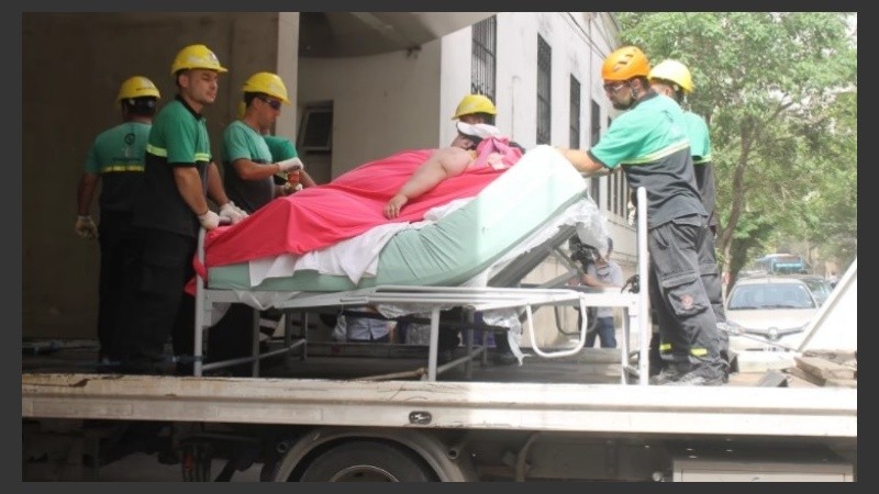 Isabella pesa 490 kilos y debió ser trasladada en una grúa.