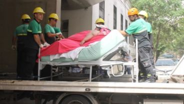 Isabella pesa 490 kilos y debió ser trasladada en una grúa.