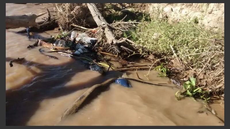Residuos de todo tipo tapizan la playa de la isla.