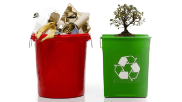 Comienza el 30 de noviembre y finaliza el 28 de febrero.