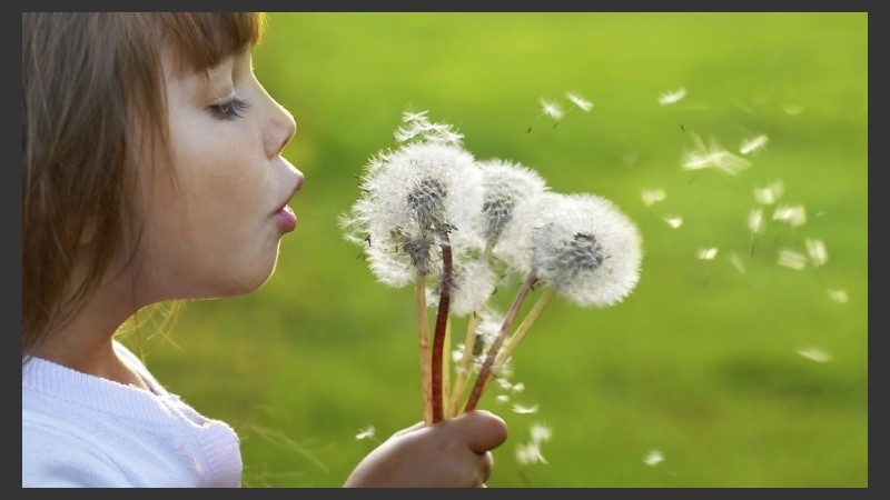 Si te preocupan las alergias de tus hijos, es importante también tener en cuenta factores de riesgo dentro de casa.