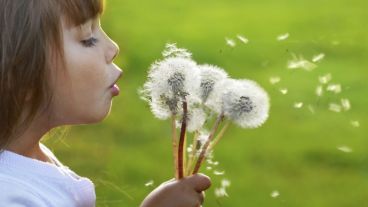 Si te preocupan las alergias de tus hijos, es importante también tener en cuenta factores de riesgo dentro de casa.