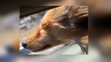 Las máximas intensidades se prevén para la zona costera de la provincia de Buenos Aires y en el Río de la Plata.