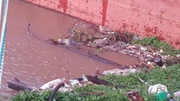 El hallazgo se produjo en la Costanera de Pueblo Esther.