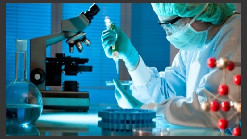 La rosarina detalló el trabajo que se realiza en Francia.