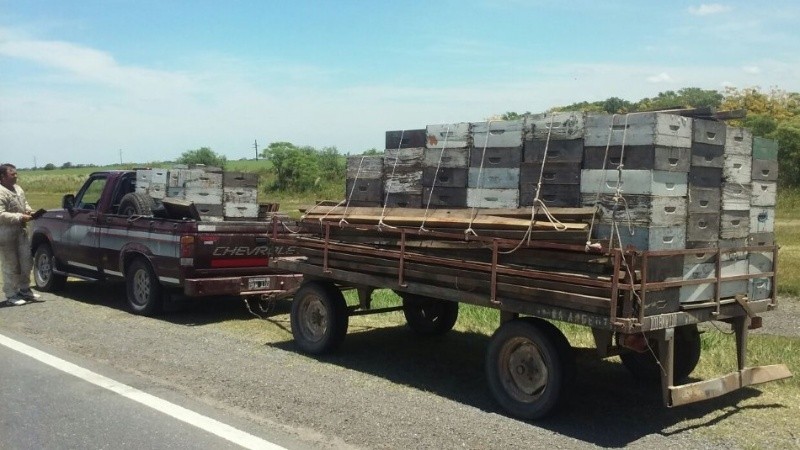 El operativo de control se realizó sobre la ruta 11, cerca de Videla.