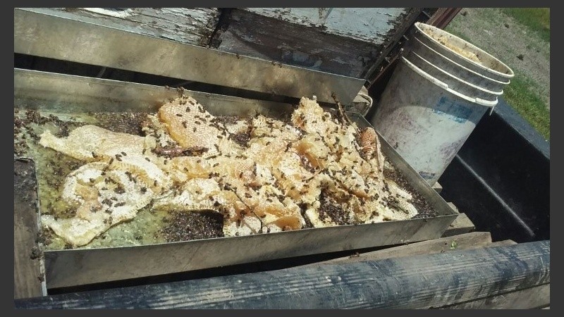 El operativo de control se realizó sobre la ruta 11, cerca de Videla.