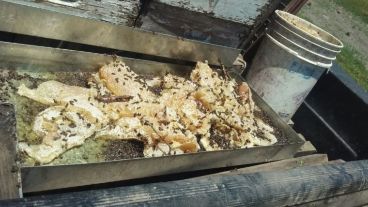 El operativo de control se realizó sobre la ruta 11, cerca de Videla.