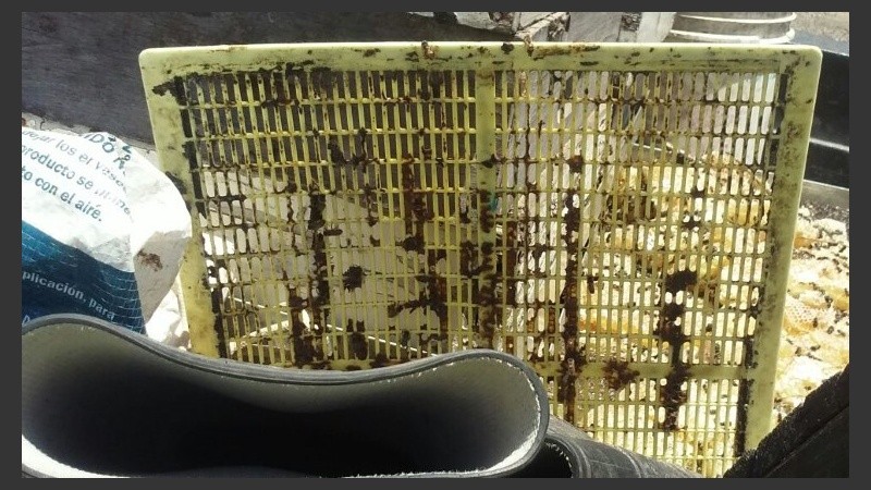 El operativo de control se realizó sobre la ruta 11, cerca de Videla.