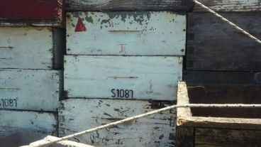 El operativo de control se realizó sobre la ruta 11, cerca de Videla.