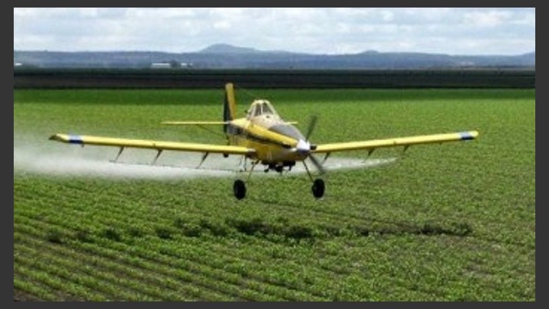 La suspensión de la prohibición del glifosato y el escándalo en el Concejo.