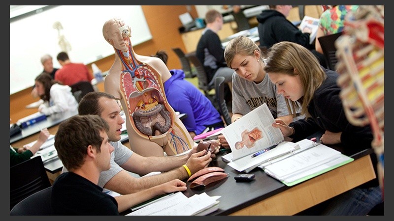 Es dictada por la Fecoi y la Universidad Caece.