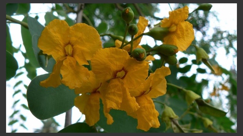 Tipas por donde se mire en la ciudad. 