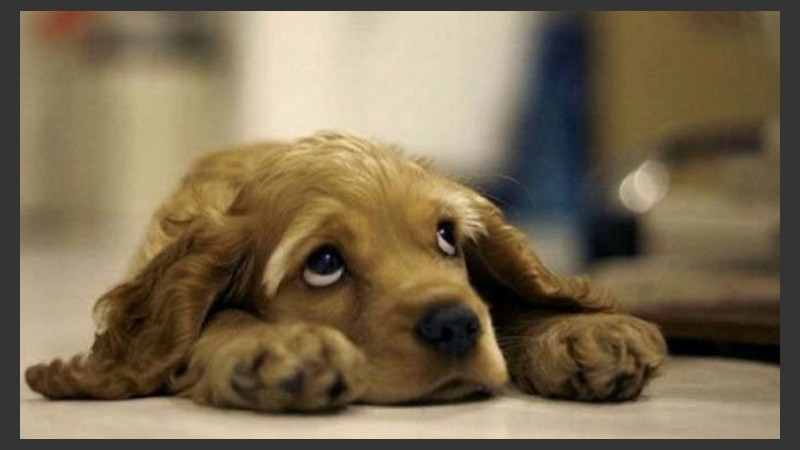 A buscar refugio este jueves infernal. 