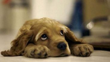 A buscar refugio este jueves infernal.