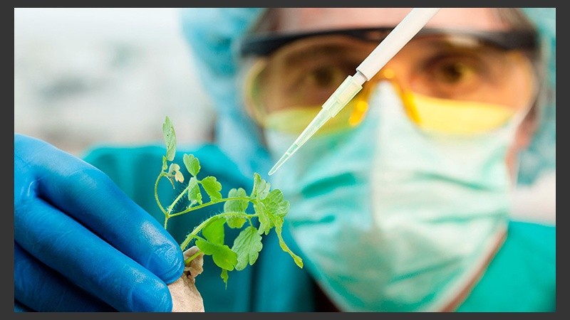 La distinción tiene por objetivo promover la generación del conocimiento en ese área