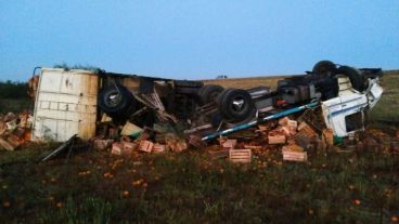 El camión volcó y la carga quedó desparramada al costado de la ruta.