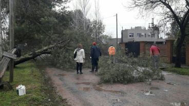 La tormenta dejó serios problemas en la zona de Luján.
