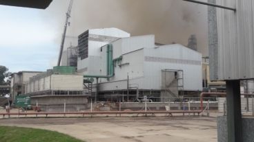 Las imágenes dentro de la empresa Cofco, ex Nidera.