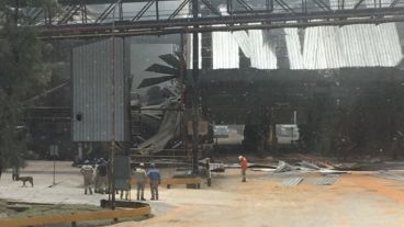 Las imágenes dentro de la empresa Cofco, ex Nidera.