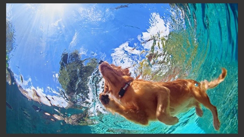 Un chapuzón en Funes o Roldán para pasar el verano. 