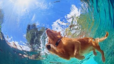 Un chapuzón en Funes o Roldán para pasar el verano.
